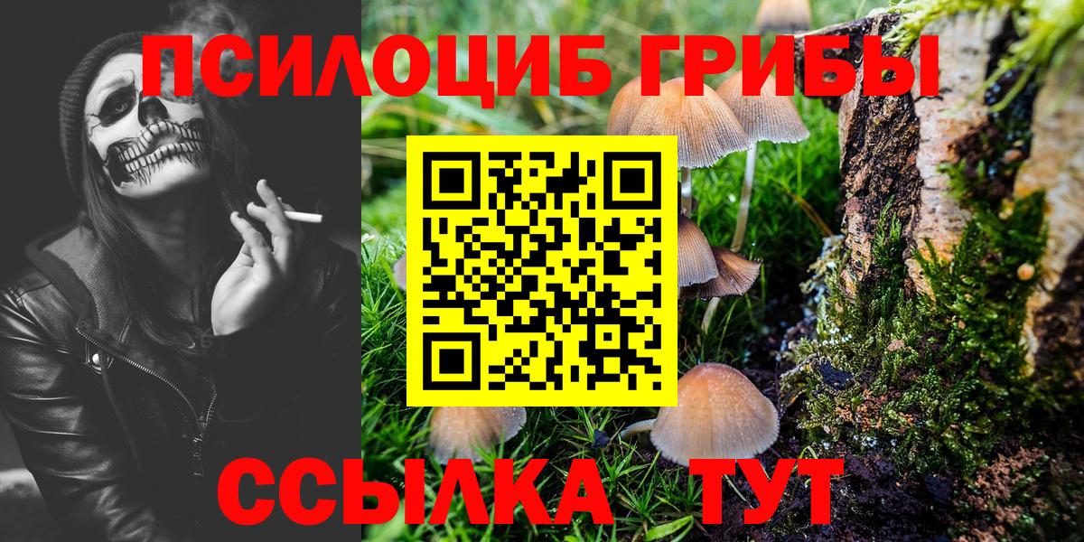 Галлюциногенные грибы Psilocybine cubensis  Вход с VPN  Нерюнгри 