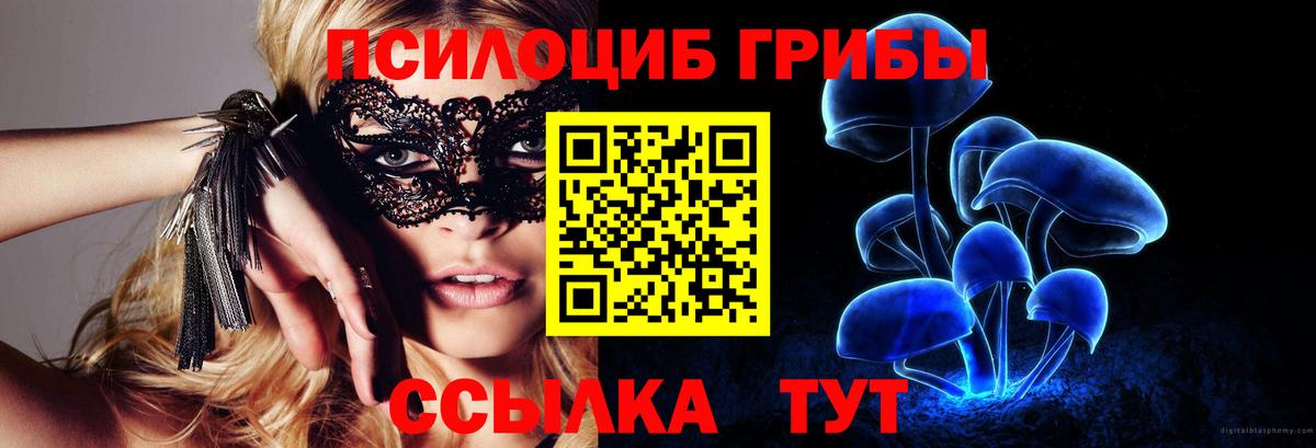 Галлюциногенные грибы Psilocybine cubensis Нерюнгри