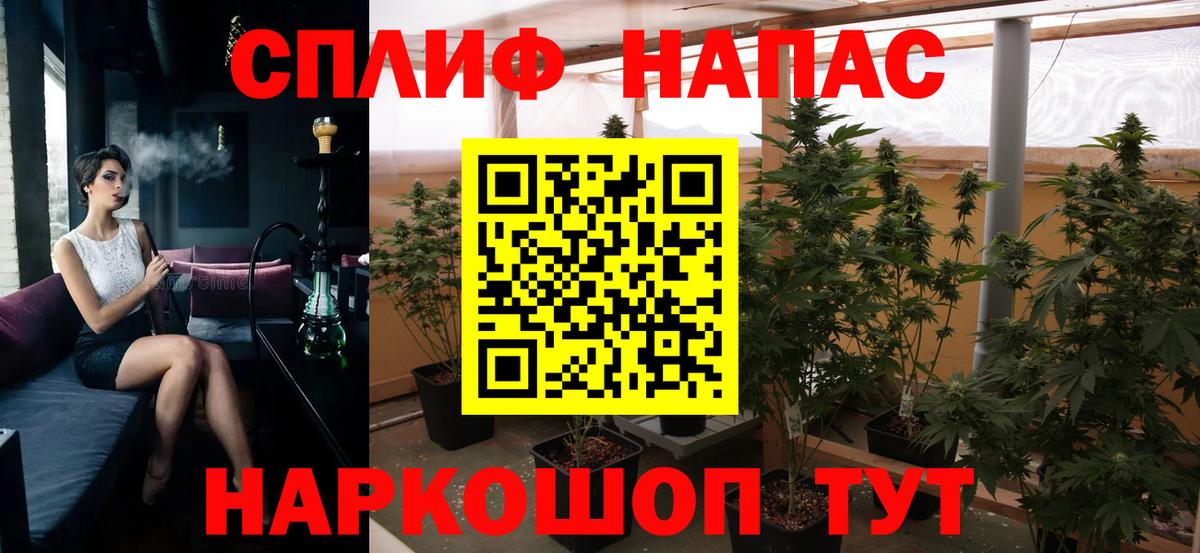 Марихуана план  МАРИХУАНА Ganja  Нерюнгри  Вход с VPN  Канабис Bruce Banner 